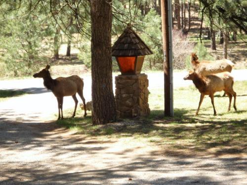 Timberline - Cozy Cabins Llc