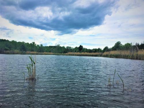Tentrr Signature Site - Water And Woods