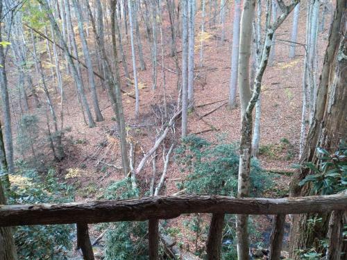 Apartamento Great Stays Near Banner Elk And Beech