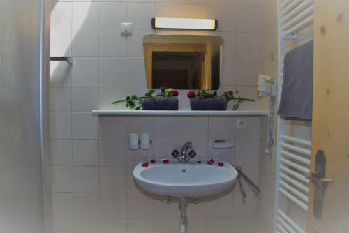 Apartmenthaus Alpina