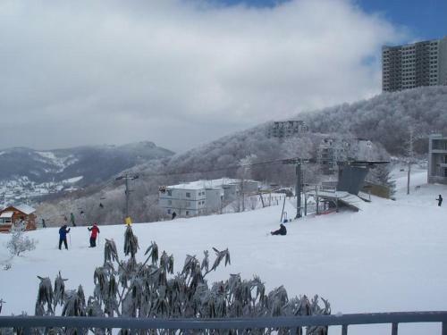 Sugar Ski & Country Club Unit 411