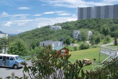 Sugar Ski & Country Club Unit 313