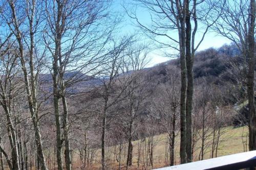 Sugar Ski & Country Club Unit 213