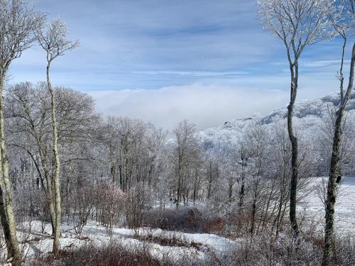 Sugar Ski & Country Club Unit 225