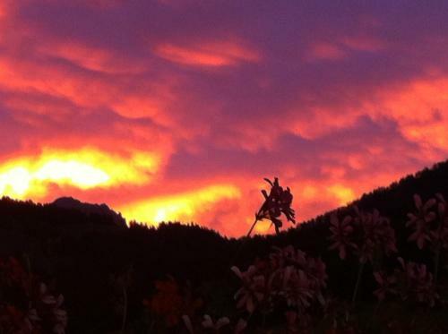 Haus Lechner Apartments