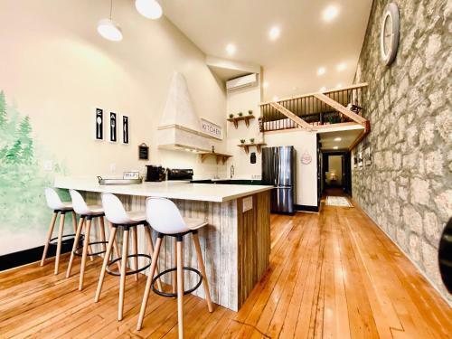 Luxury 2bedrooms 2kingbeds Historic Building