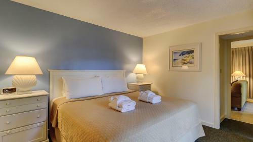 The Village Palmetto Dunes