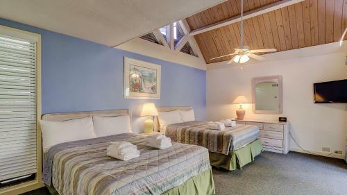 The Village Palmetto Dunes