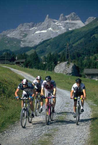 Ferienhaus Vollspora