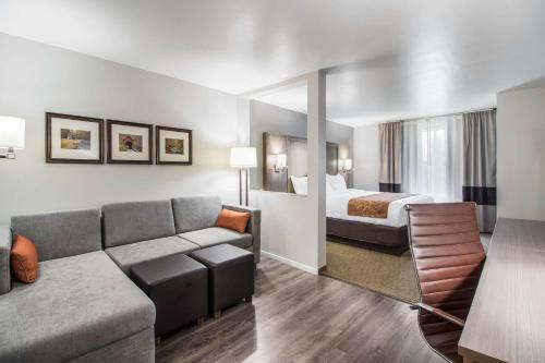 Hotel Comfort Suites