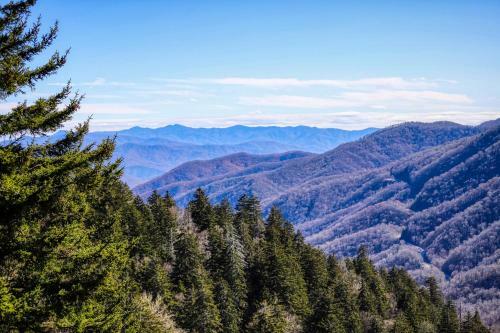 100 Mile View