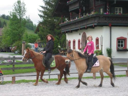Apartamento Baby & Kinderbauernhof Stefflhof