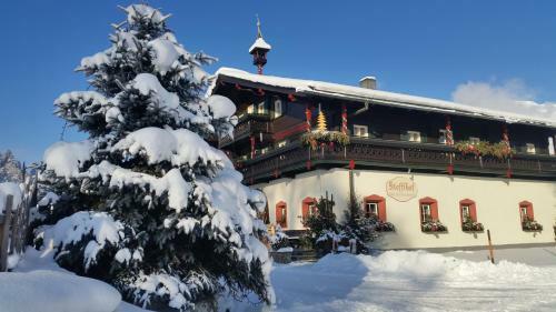 Apartamento Baby & Kinderbauernhof Stefflhof