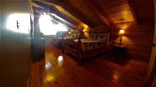 Free Xplorie Attractions Every Day! - Driftwood Log Cabin