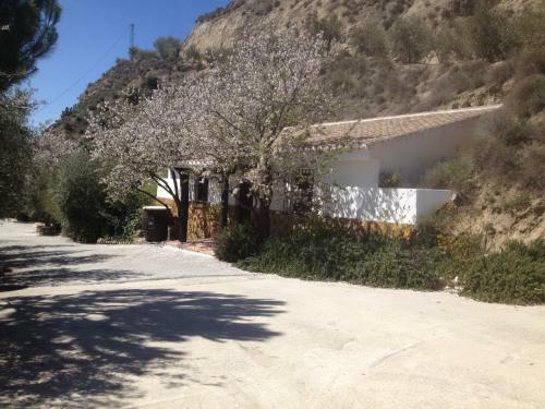 Apartamento Cortijo Pilongo