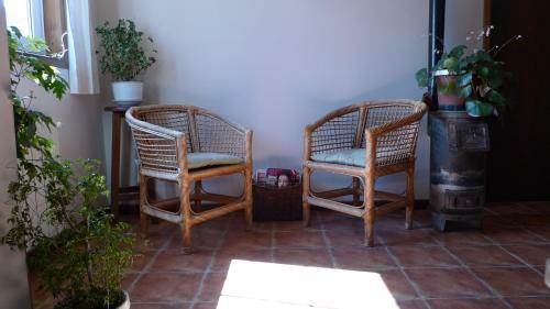 Nothofagus Bed & Breakfast