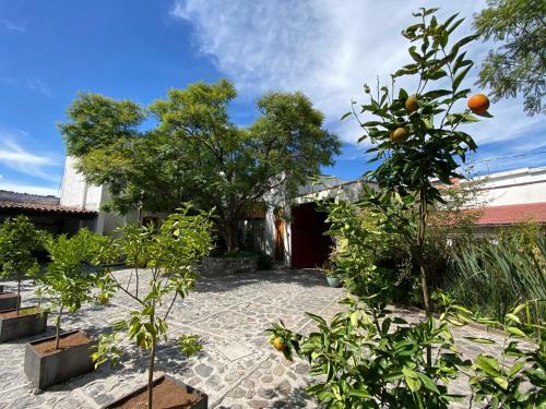 Posada Colibri - Hotel & Spa