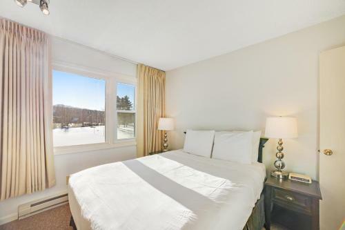 Mountainside Resort III