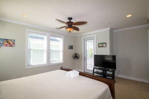 619 Dolphin Road - Six Bedroom House