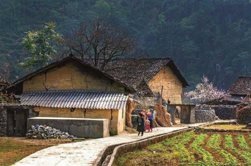 Hit The Road Ha Giang Hostel And Tours