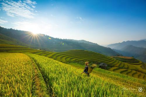 Hanoi Lullaby Hotel And Travel