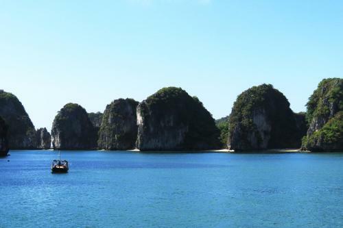White Dolphin Cruises