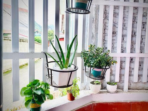 Apartamento Camellia's Home / Nh� Tr�