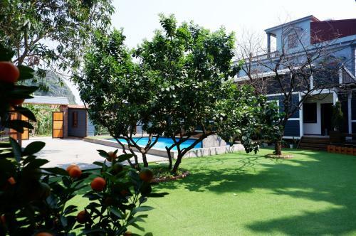 The View Point Home & Spa