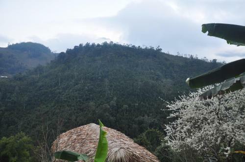 Hotel Chapa Farmstay - Mountain Retreat