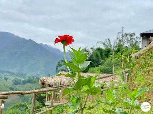 Hotel Chapa Farmstay - Mountain Retreat