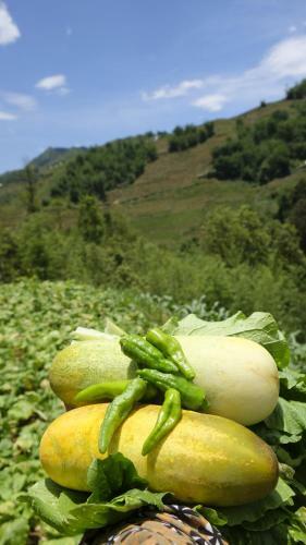 Hotel Chapa Farmstay - Mountain Retreat