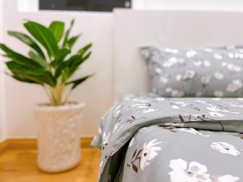 C?n H? Melody V?ng T�u- May's Apartment