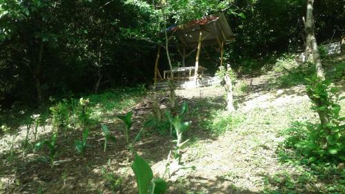 Hostal Guest House Baba Zoua
