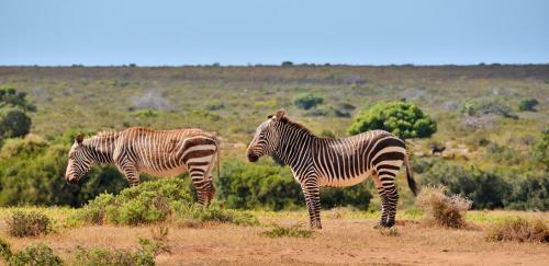Hotel de Hoop Collection - Vlei Cottages