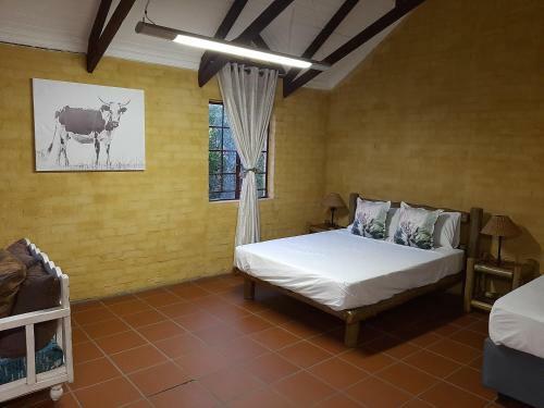 Hostal Snl 12 Dwergarend