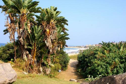 Apartamento Rosscarbery 3