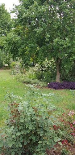 Agroturismo Piccadilly Farm Cottage