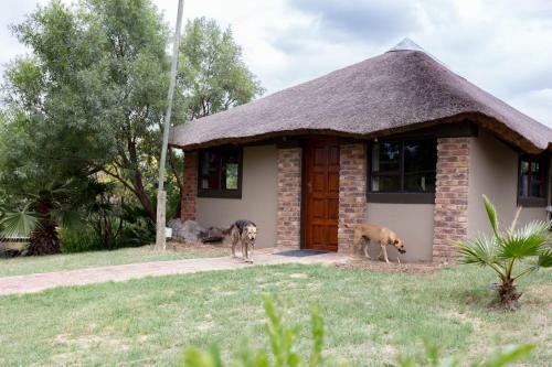 Albergue Inyameko Bnb