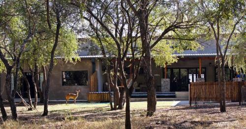 Dream Of Africa Bush Lodge