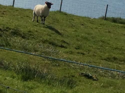 Hebridean Sea View Cottage