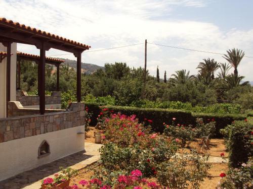 Villa Katerina Holiday Apartments