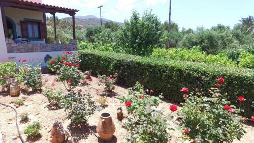 Villa Katerina Holiday Apartments
