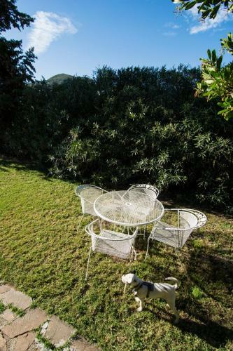 Agroturismo Tenuta Col Di Sasso