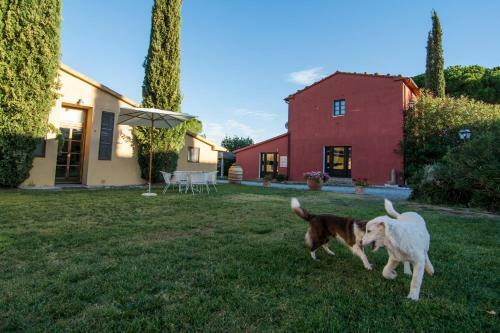 Agroturismo Tenuta Col Di Sasso