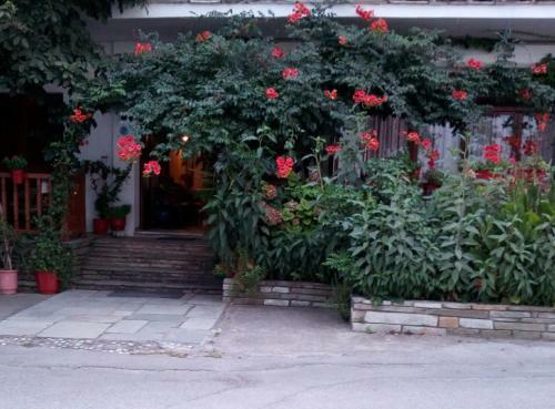 Hotel Katerina