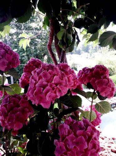 Hotel Aegeus