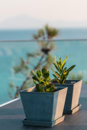 Apartamento 360? Luxury View Collection - Adults Only