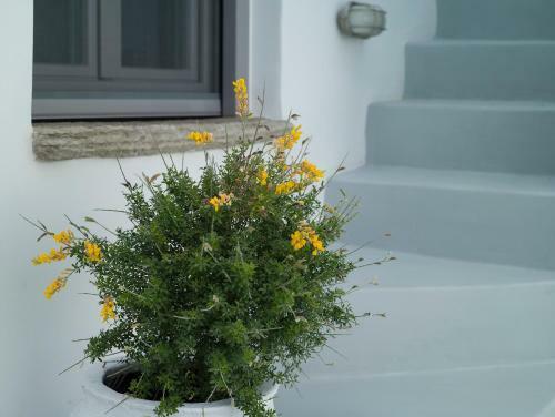 Hostal Tutti Blu Tinos Living Space
