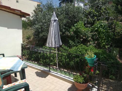 Apartamento Amversa's Rooms