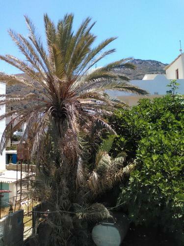 Apartamento Nektaria On The Beach